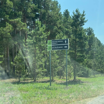 тер сдт Сад